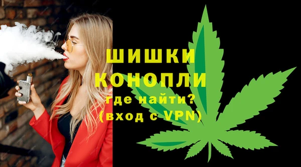 шишки Куйбышев