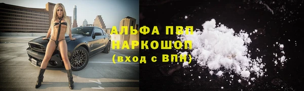 СК Кулебаки