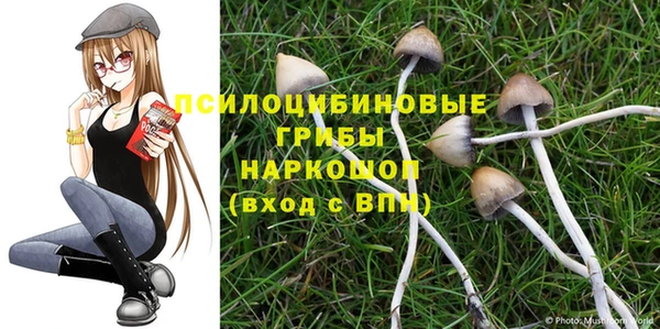 СК Кулебаки