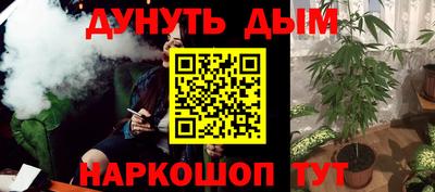 прущие крисы Гай