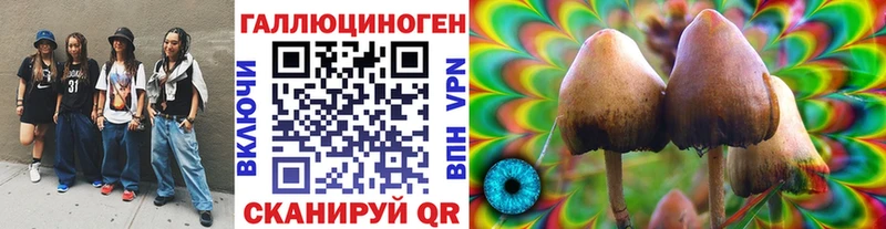 блэк спрут зеркало  Пушкино  Галлюциногенные грибы Magic Shrooms  купить наркоту 