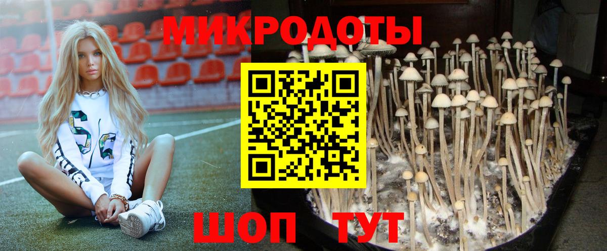 Галлюциногенные грибы ЛСД Пушкино