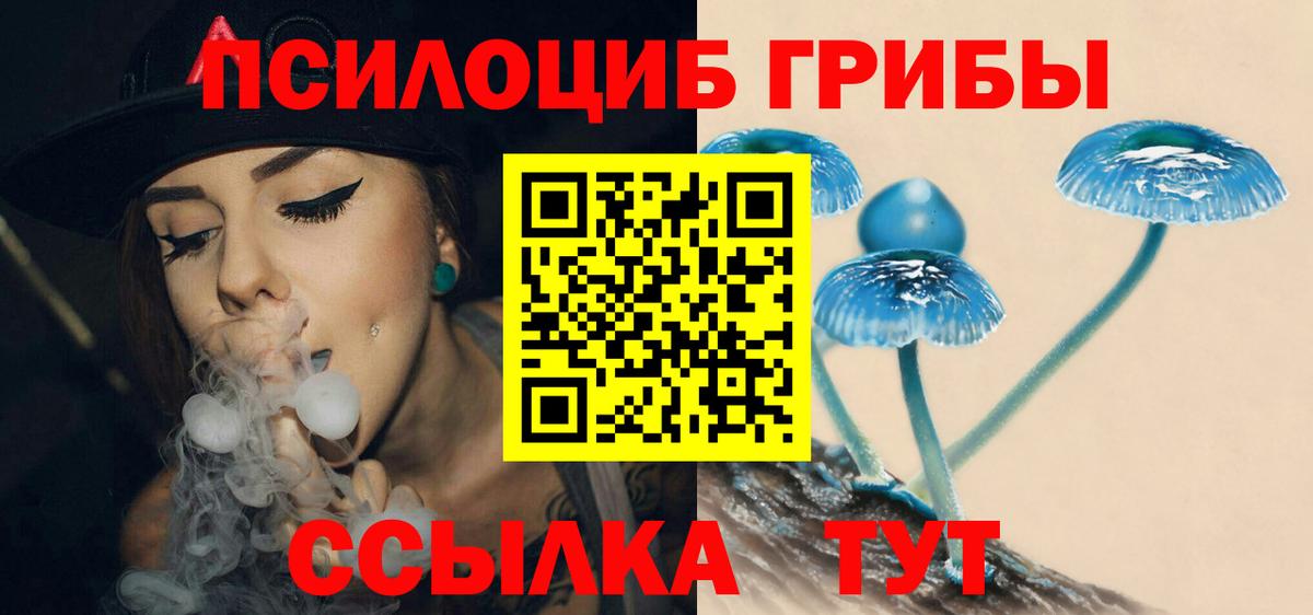 Альфа ПВП Пушкино